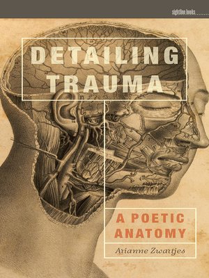 cover image of Detailing Trauma